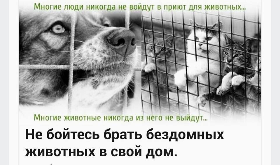Из открытого источника