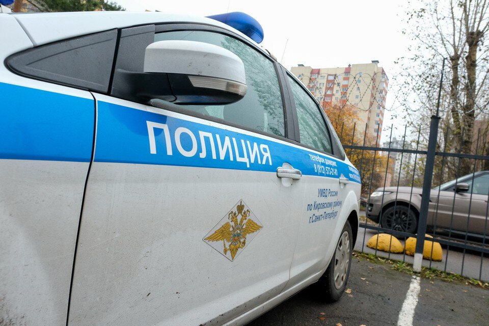    Петербурженку сбил мигрант на Гражданском проспекте. Артем КИЛЬКИН