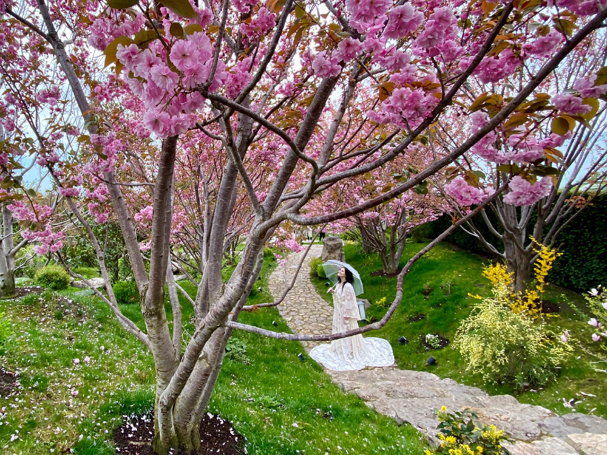 🌸Японский сад «Шесть чувств» в Мрия. Где постичь дзен в Крыму? | Витамин  Д☀️Крым | Дзен