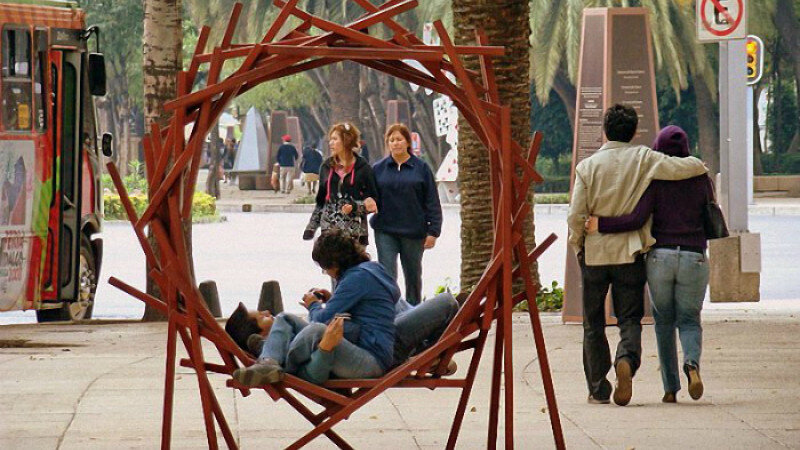     Гнездо в Мехико, Мексика. novate.ru