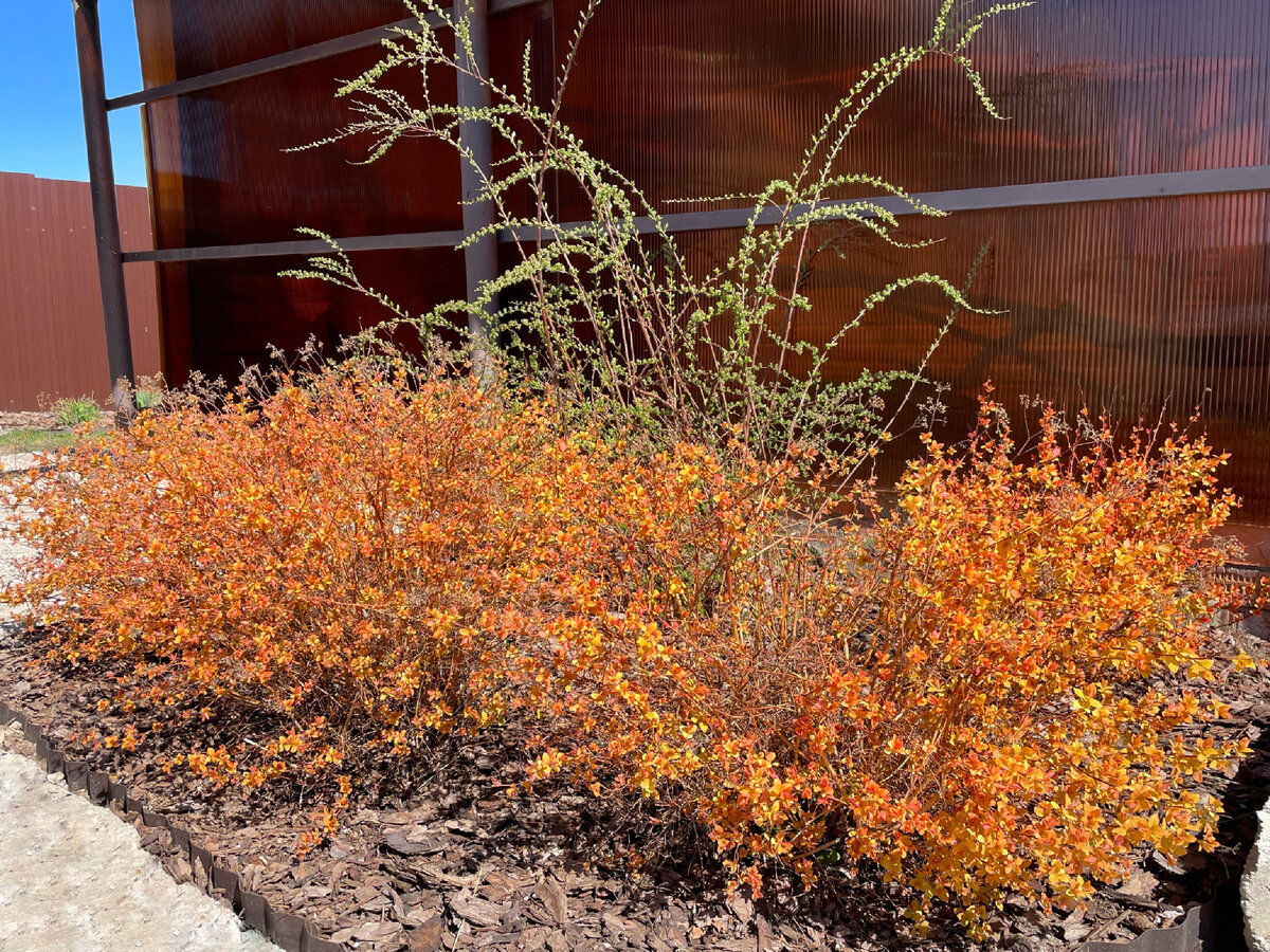 Фото сделано 22 апреля в этом году.