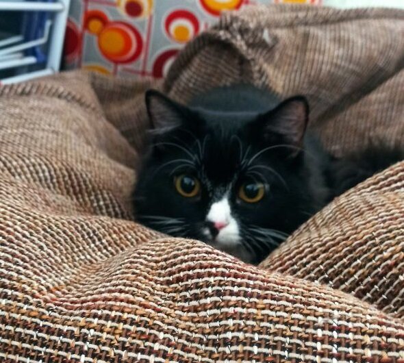 С чем сегодня будем играть?