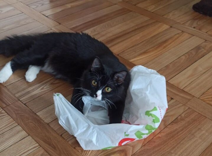 Ах, как он шелестит..