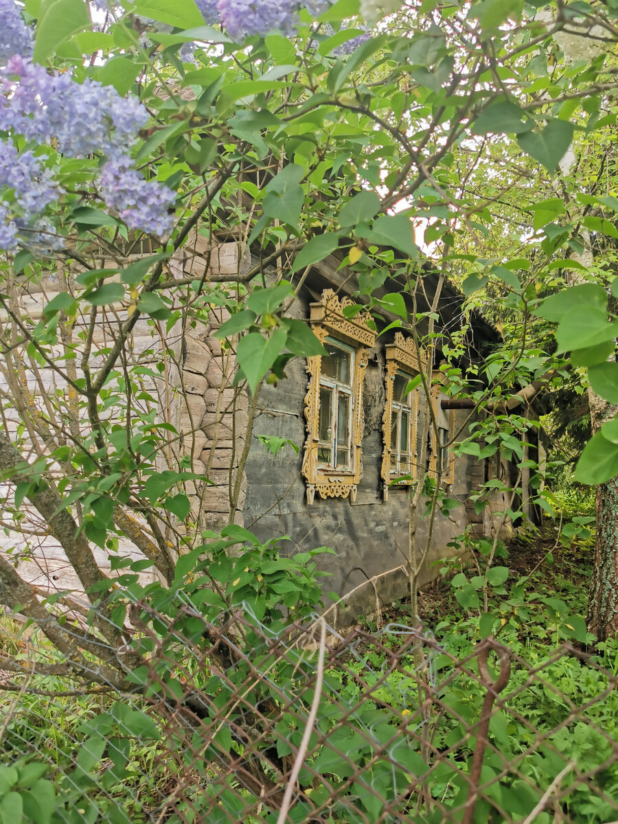 Фотографии из одной деревни в Калужской области. Домик давным - давно опустел. От него веет холодом. Оранжево-жёлтые наличники увидела с дороги. 