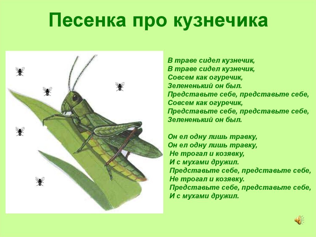 Текст песни в траве сидел кузнечик распечатать