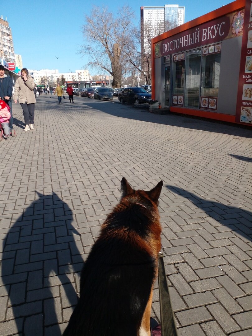 Приехали в Екатеринбург, идём от автовокзала в клинику. Надо было поставить эти фотки в предыдущую статью, но уже поздно. Пускай тут будут.  Фото автора. 