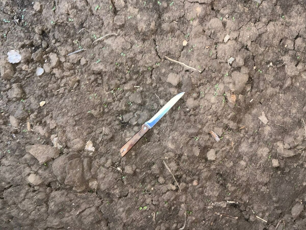    Зарезала свою мать: стали известны подробности убийства в Оренбургском районе Белов Михаил Александрович