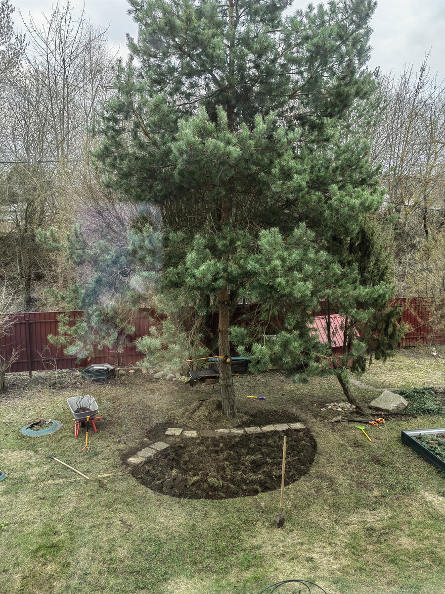 Вроде неплохо получилось, ровненько. 😉