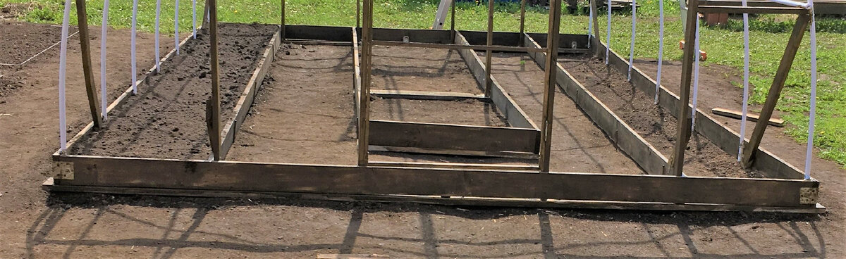 фото автора. Июнь 2020г.