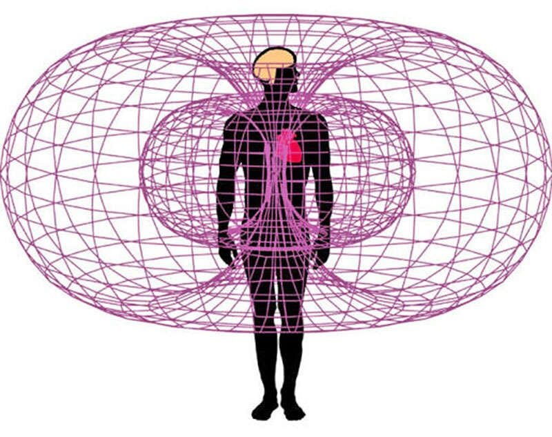 Биополе торсионное поле. Торсионное поле Меркаба. Спектр магнитного поля человека.