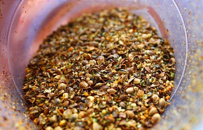 Зёрна конопли 