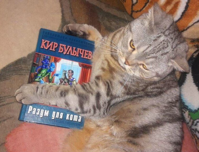 фото авторов канала.