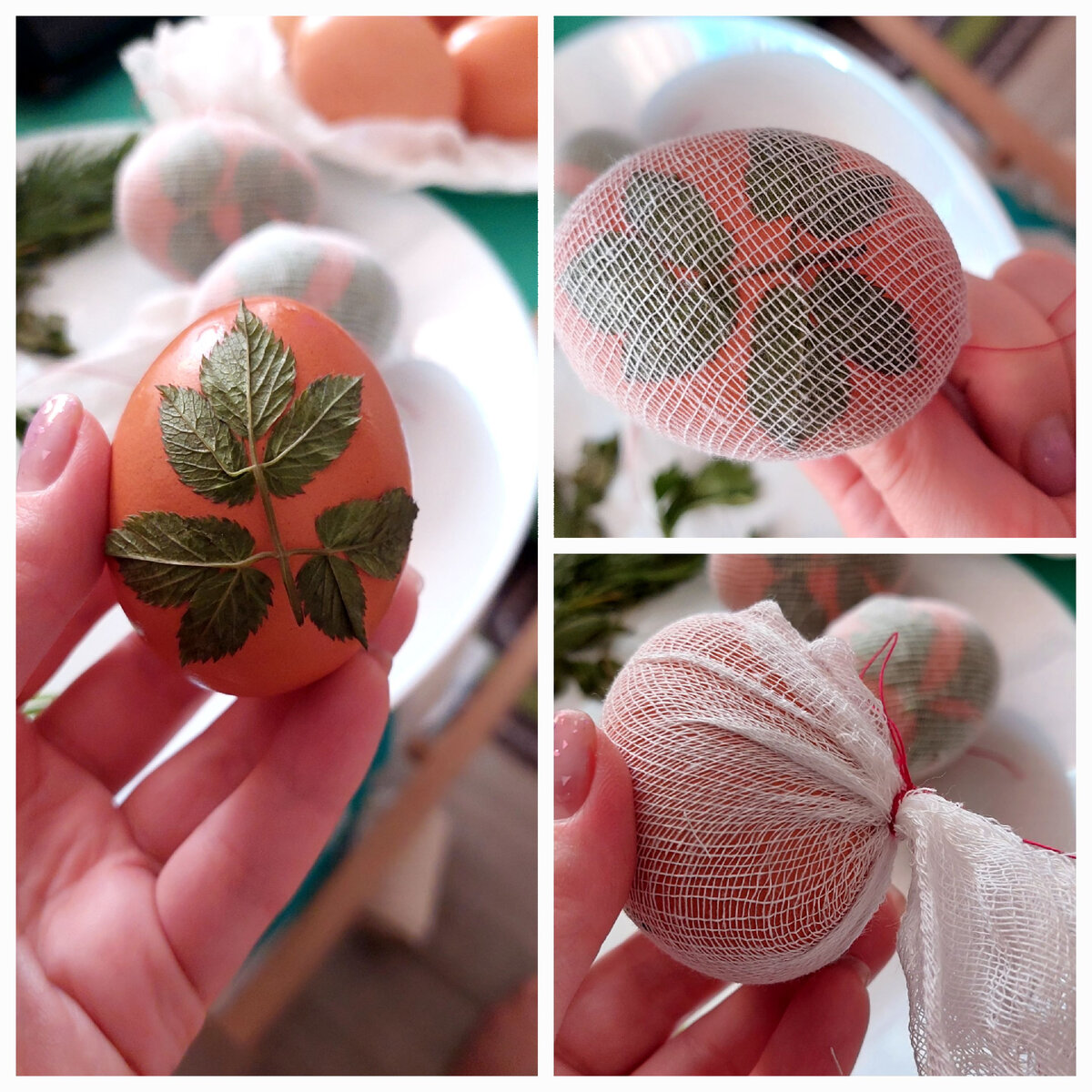 Первое яйцо я сильно скрутила марлей, ниже покажу, что из этого вышло.