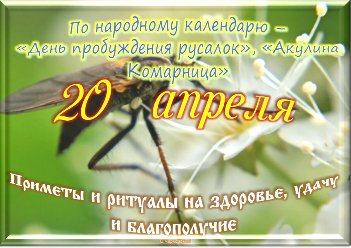 20 апреля день