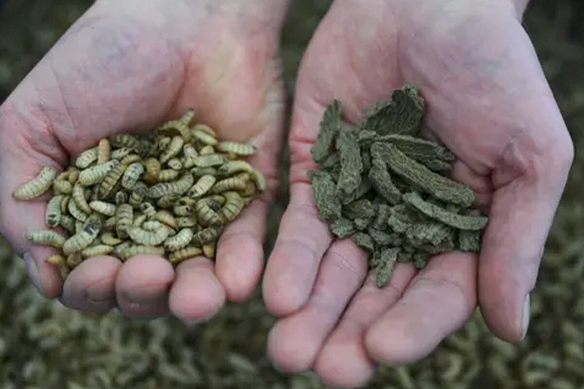 Фото: exxpress.at