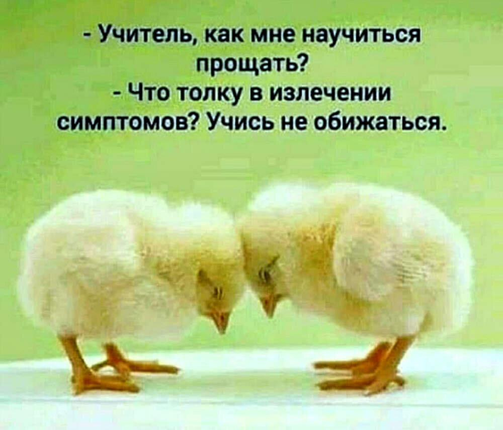 Фото из картинок yandex.ru