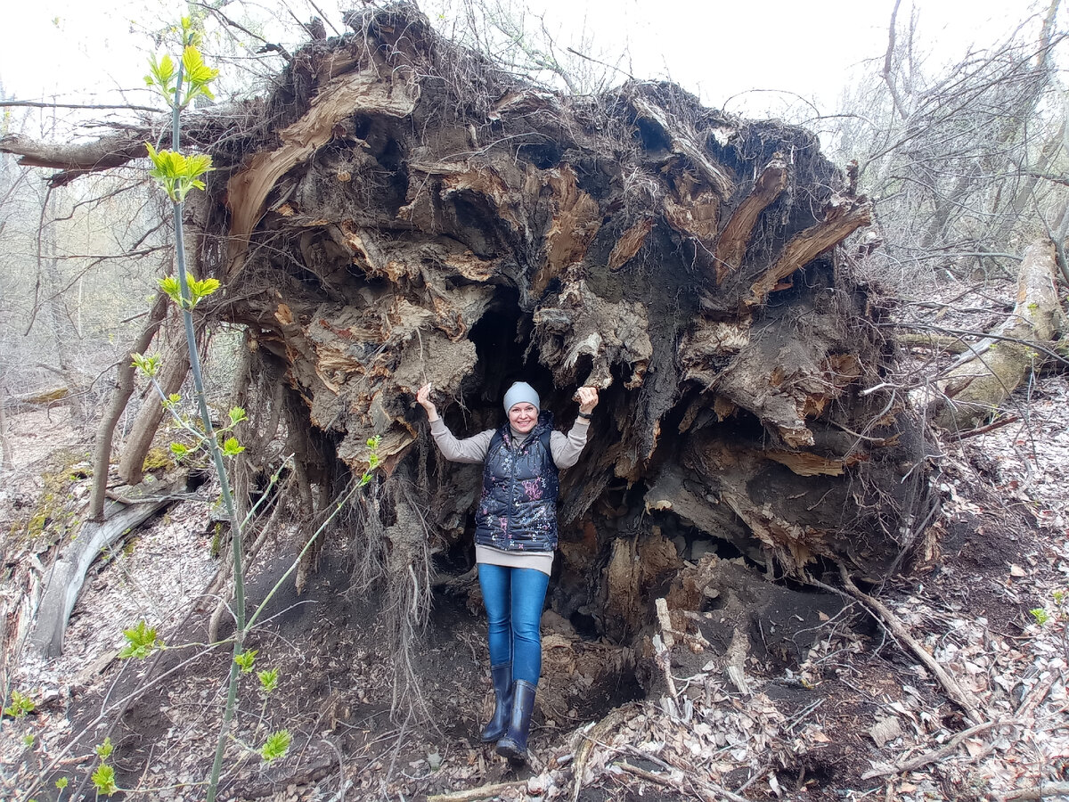 это не я, оно само