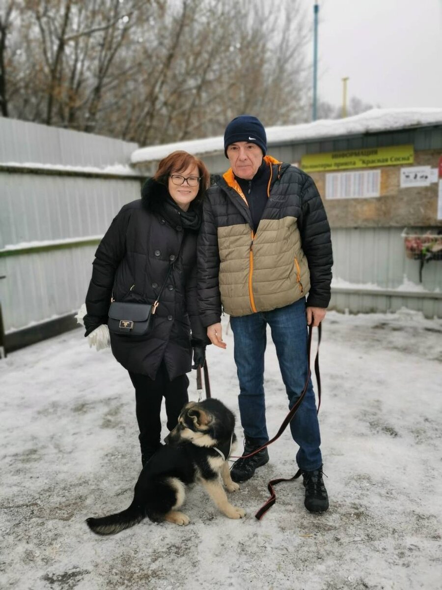 Домой из приюта «Красная сосна»