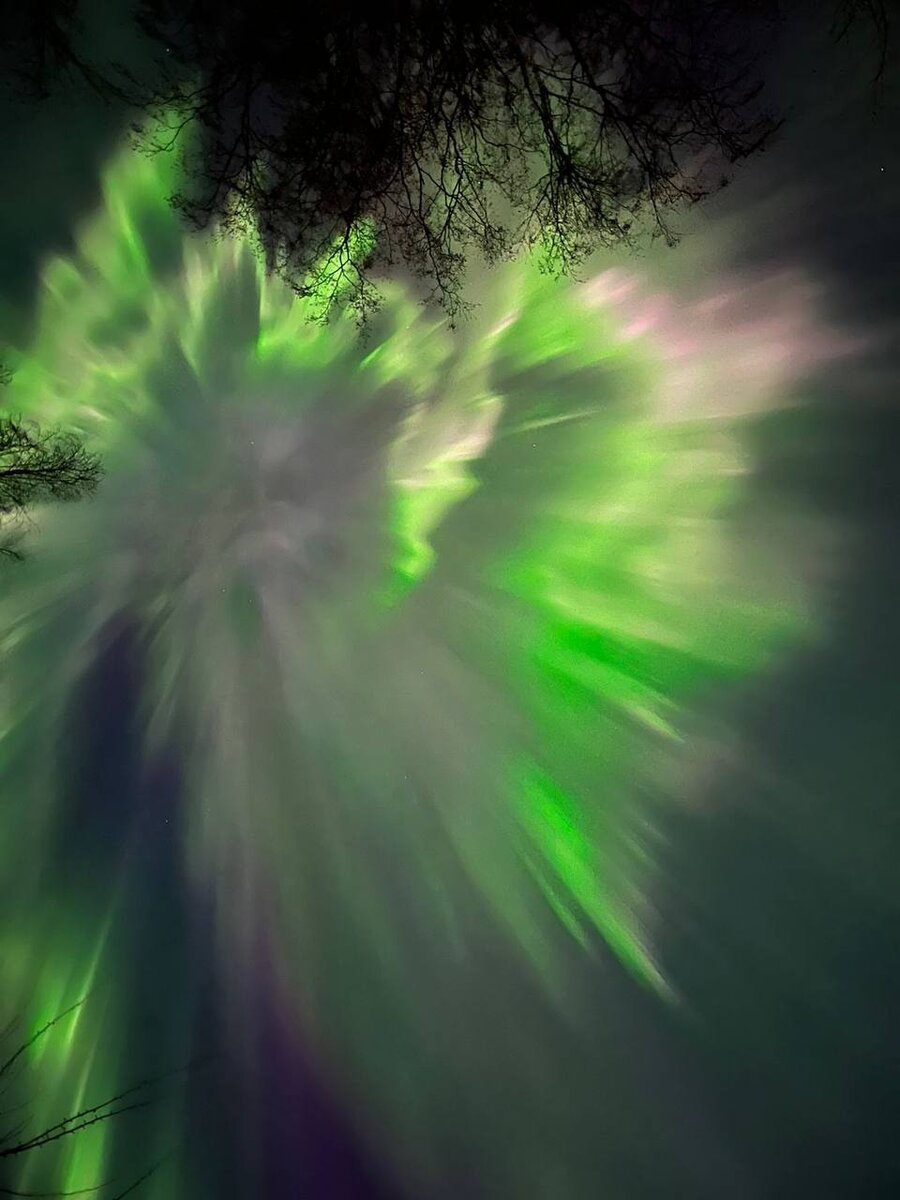 Канал Ньюсач/Двач