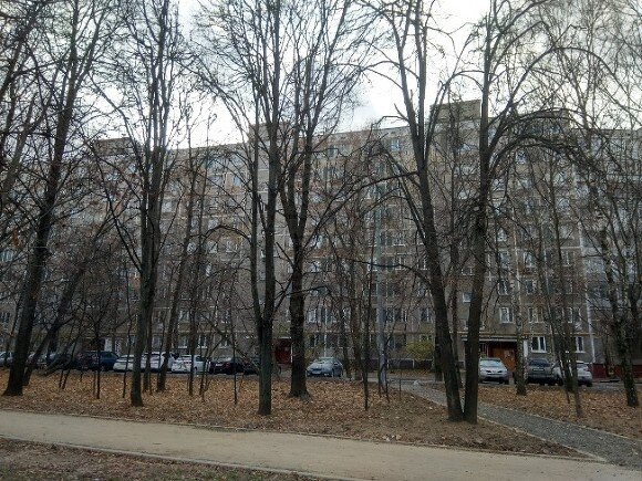    Фото ИА «Росбалт», Наталья Станэску
