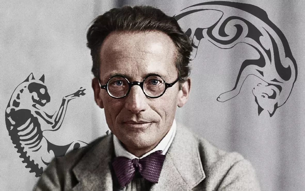 Эрвин Шрёдингер 1887-1961.  Австрийский физик-теоретик, получивший Нобелевскую премию.