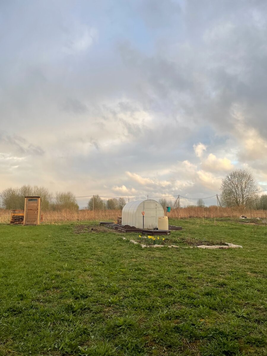 Весенняя красота