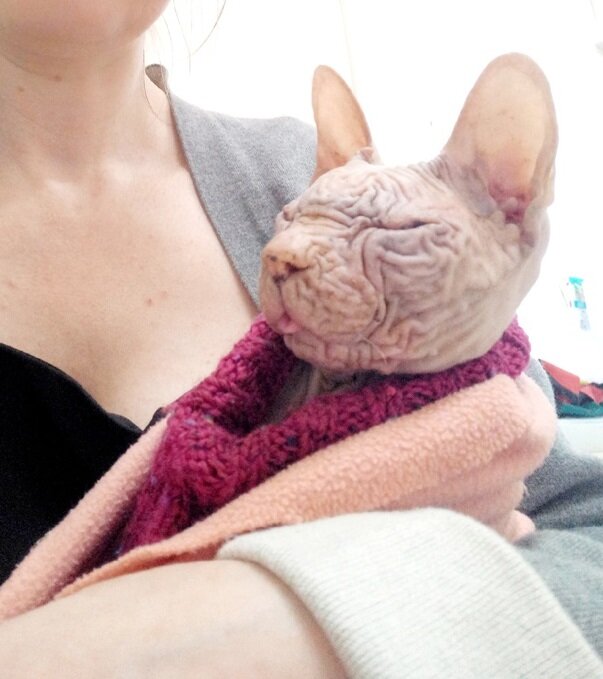 Ждем выписку и назначение врача