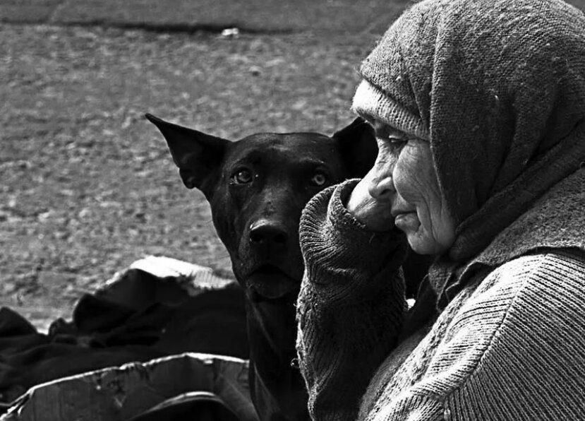 фото взято из открытого источника 9111.ru