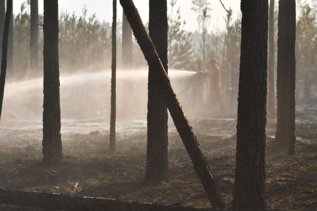 Фото: Сергей Елесин, ИА "Тюменская линия"