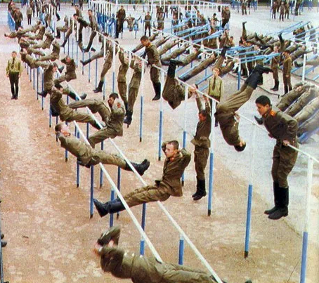 фото из интернета.