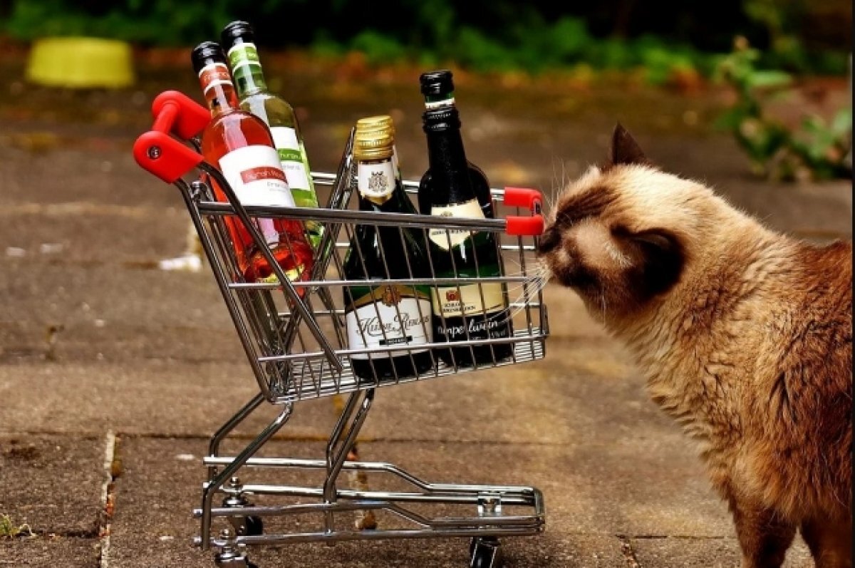    В Туле 9 мая частично ограничат продажу алкоголя