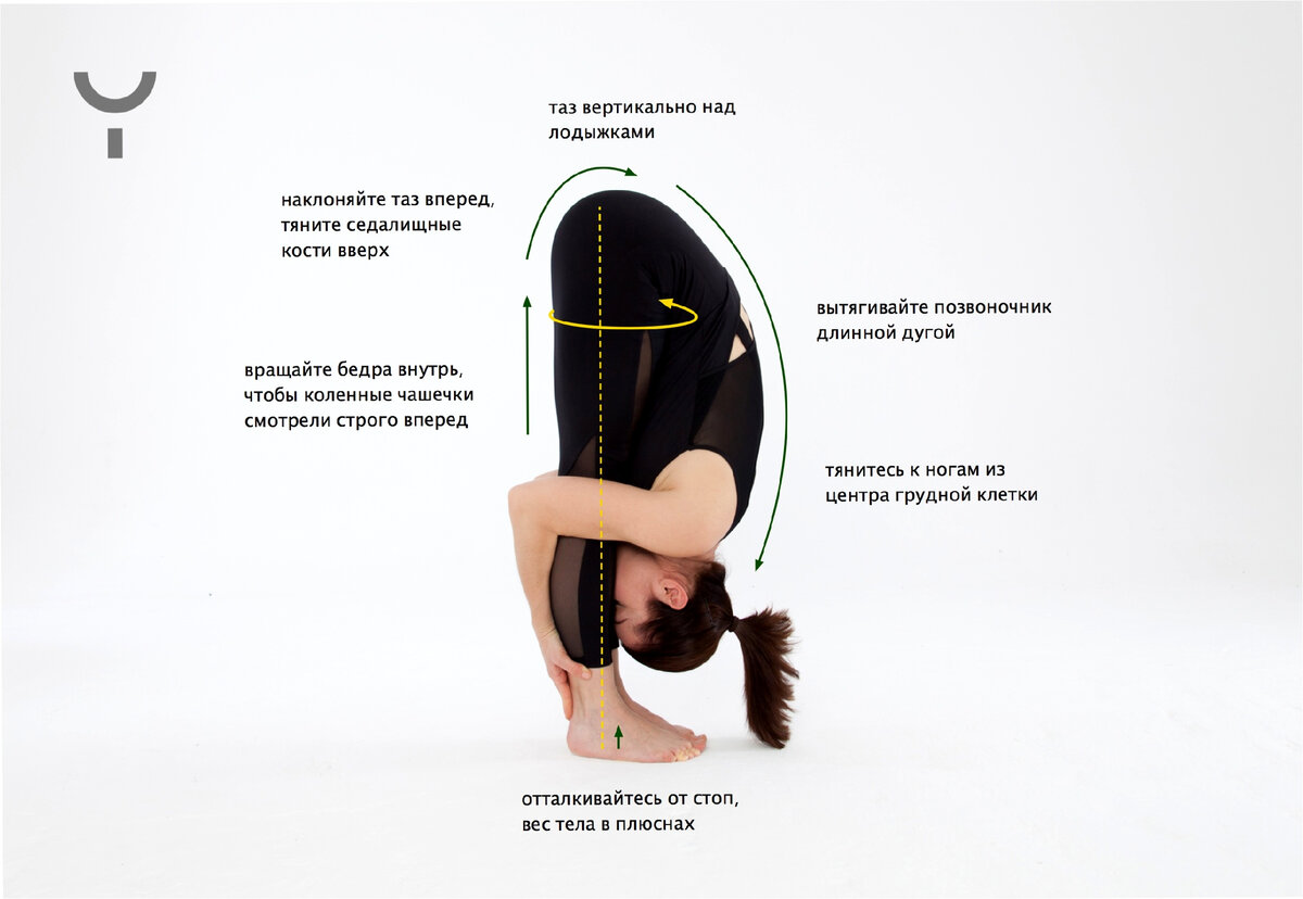 Почему уттанасана стала фаворитом нейробиологов в мире йоги? Наклонитесь и  улучшите свою жизнь. | Даниил Богданов. Кумиром должен быть ты! | Дзен