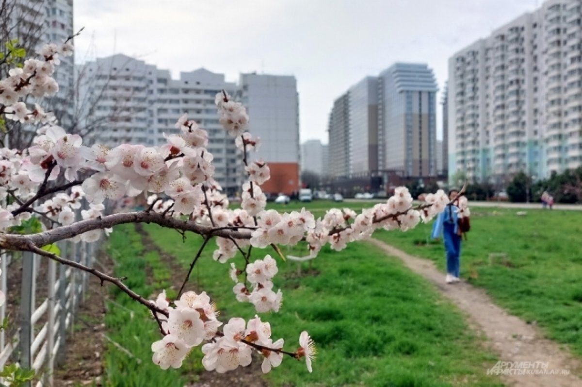    Незнание законов не освобождает от ответственности. Будьте в курсе законодательных новостей.