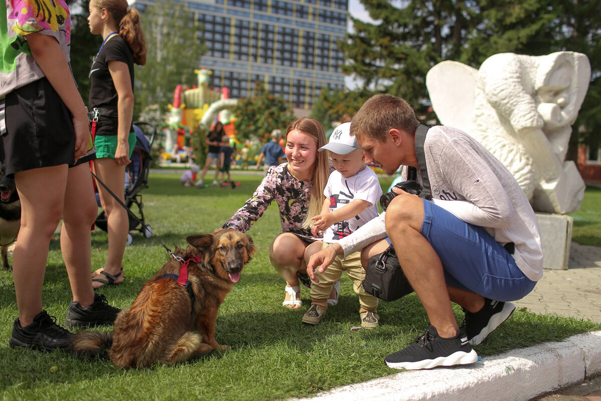 Фото: Благотворительный фонд «ЗООзащита»