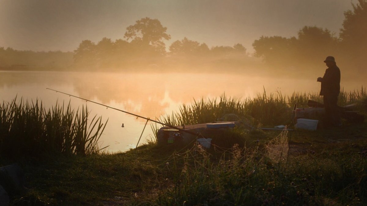 Летним утром мы направляемся на рыбалку природа. Рыбалка рано утром. Рыбалка летом. Утро на рыбалке. Рыбалка пейзаж.