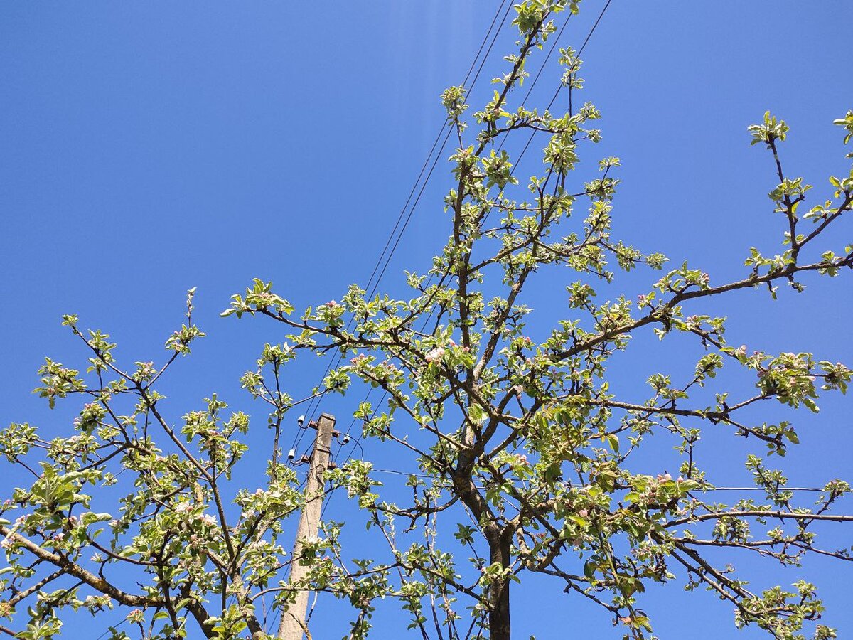 фото автора канала