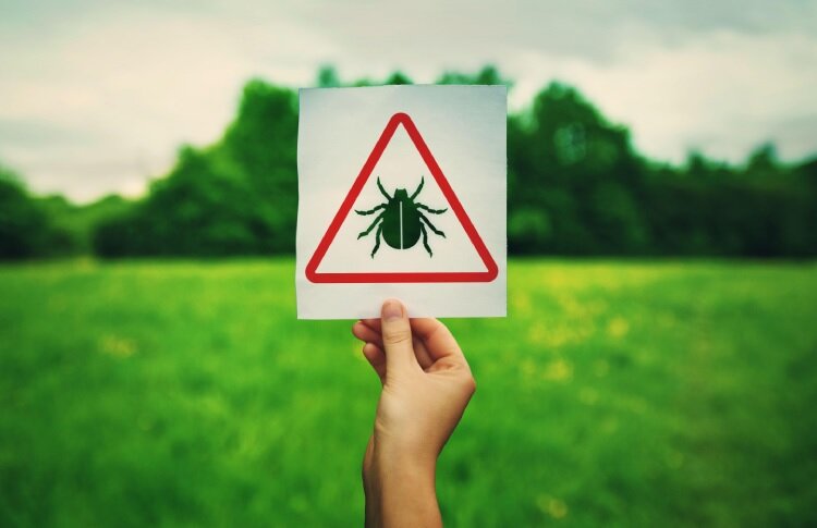 Фото: Legion-media.ru