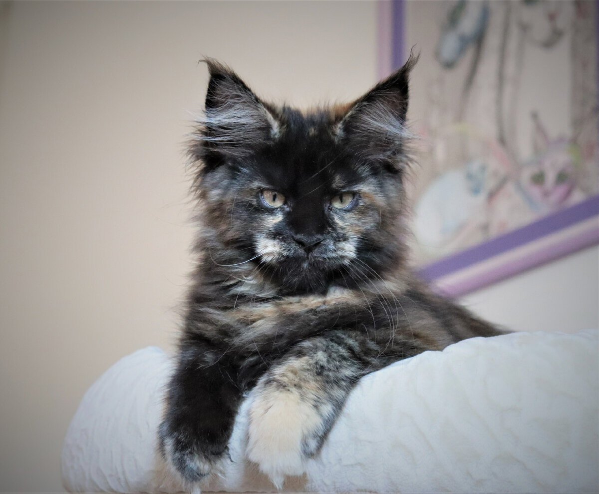 Фото из личного архива.