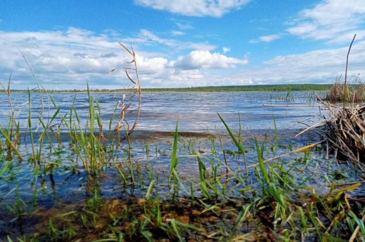    В водоемах на Урале критически упал уровень воды