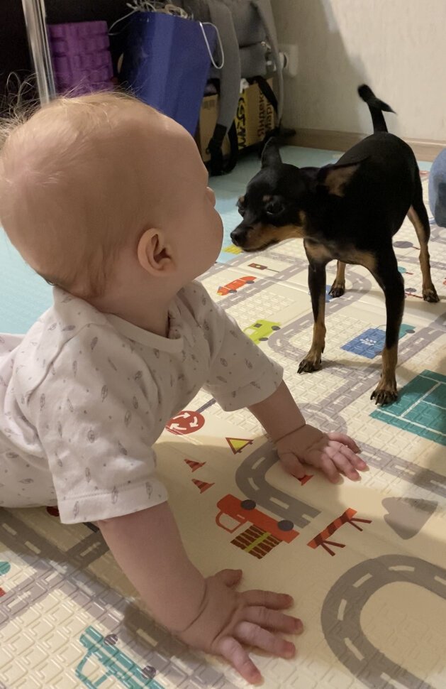 Что ты такое?