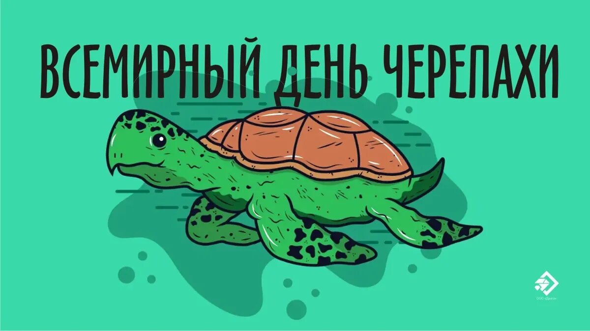 Всемирный день черепахи. Иллюстрация: «Курьер.Среда»