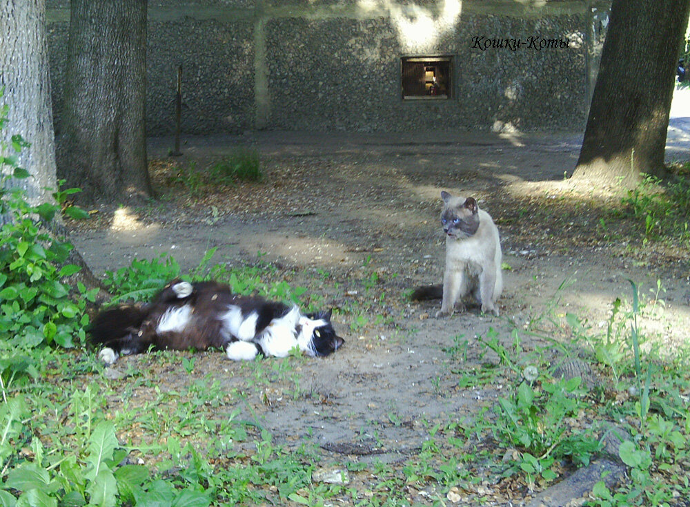 2. Что, опять жара?! 