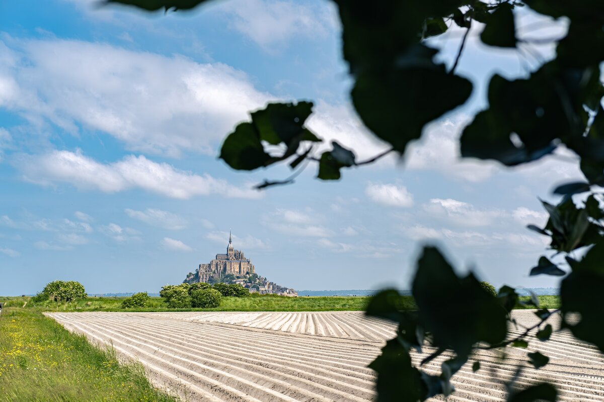 Фото с бесплатного фотоистока https://unsplash.com, автор Jeremy AAsum