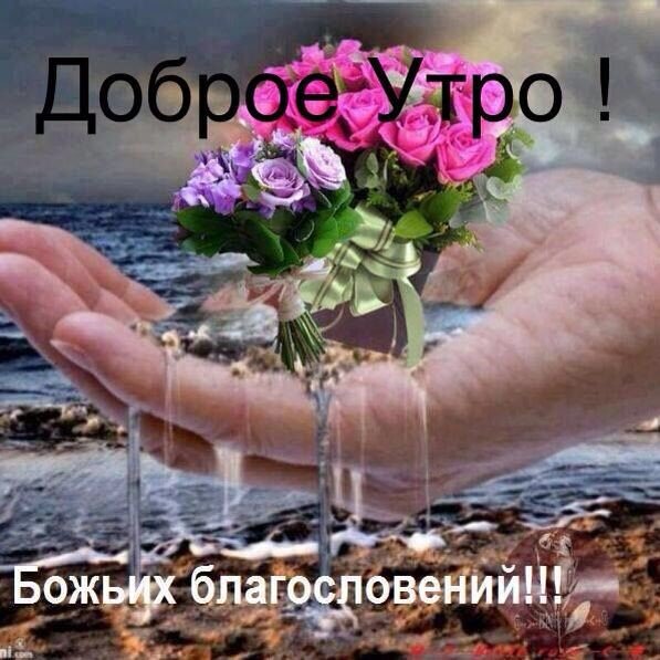 Фото из интернета. 