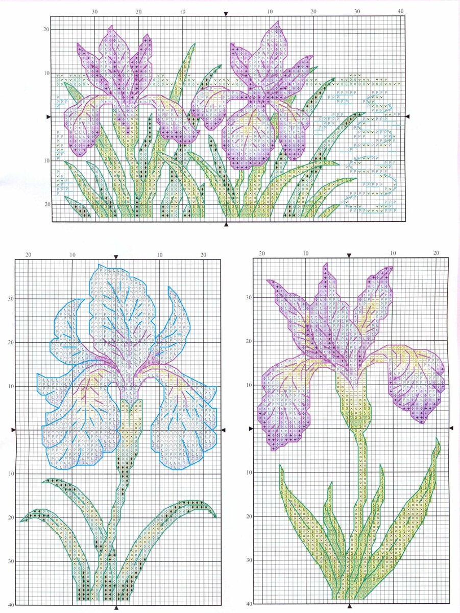 Ирисы вышивка гладью картинки