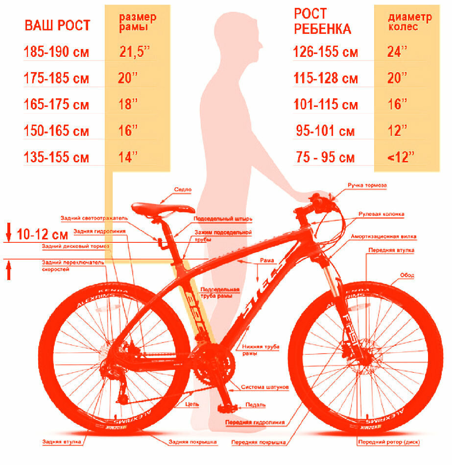 Какой диаметр велосипеда для какого роста. Велосипед диаметр колес 26 размер рамы 18.5. Размер рамы велосипеда Atom xc300. Велосипед stels размер рамы и рост.