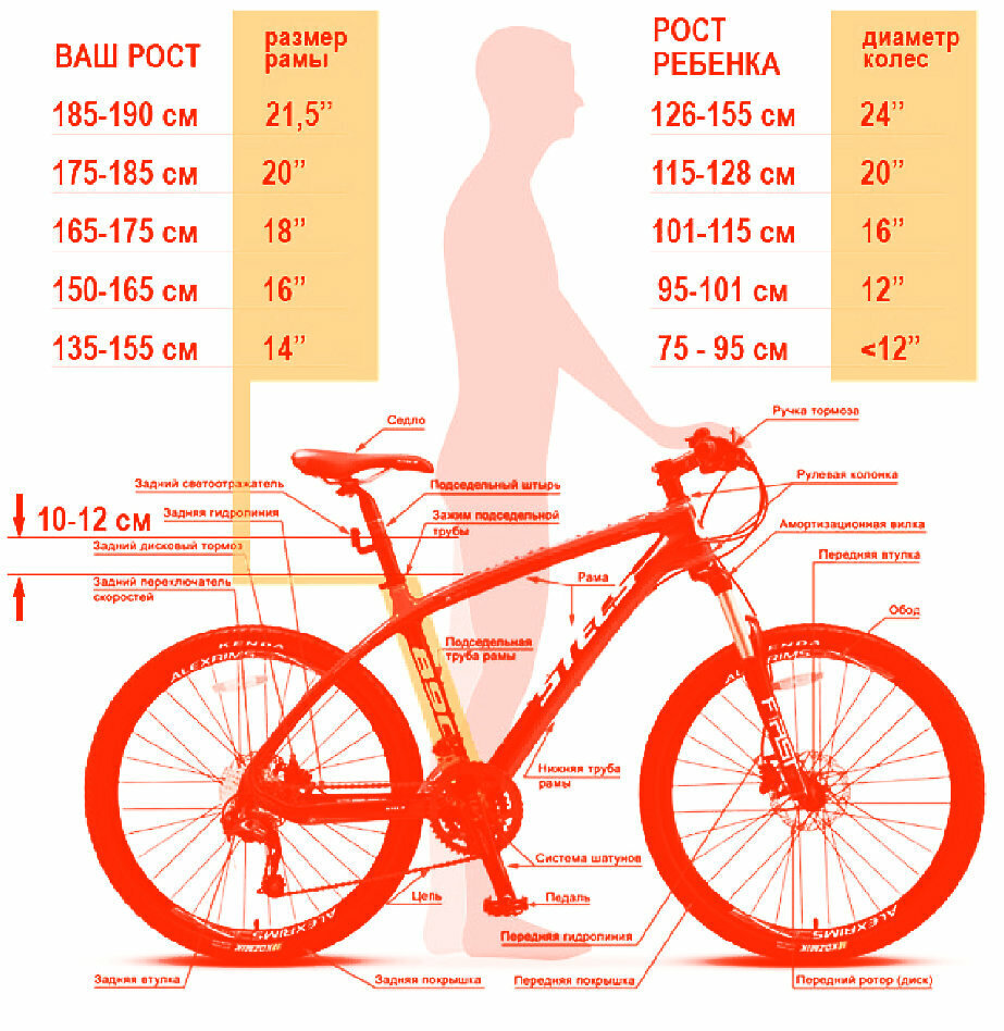 Таблица горного велосипеда по росту