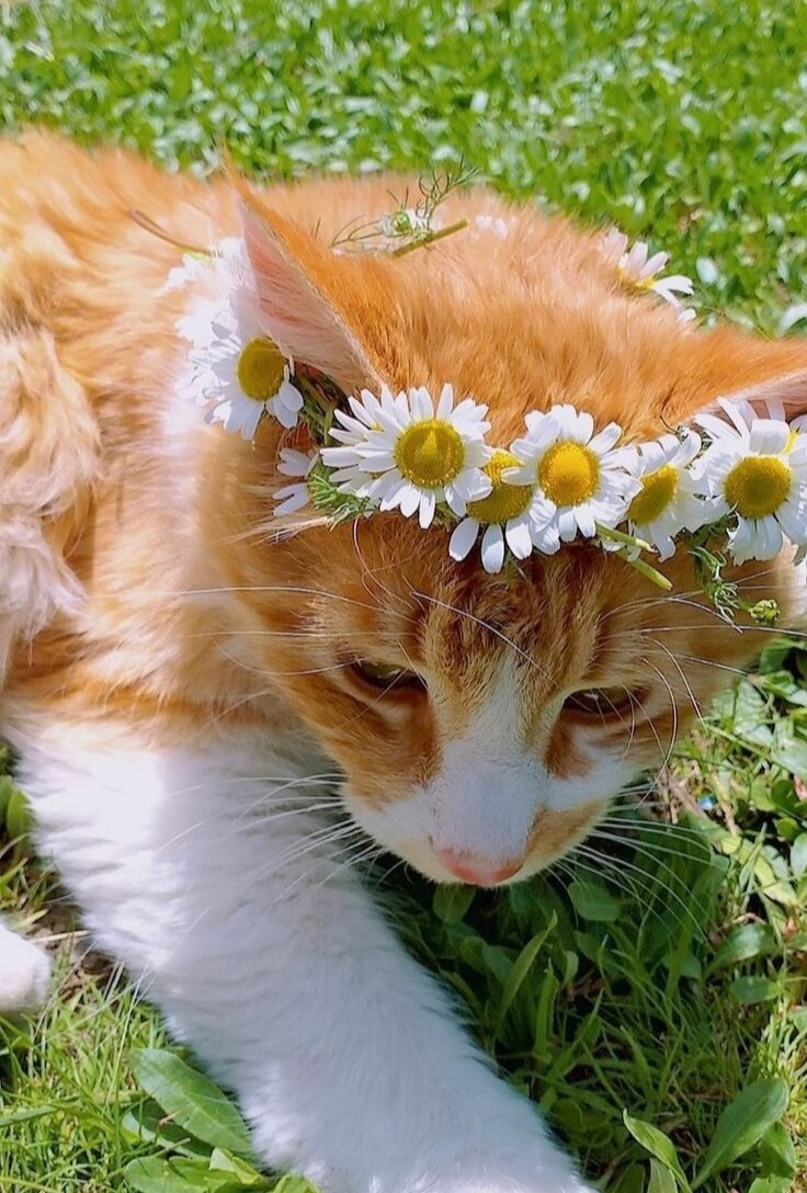 Источник: Яндекс картинки