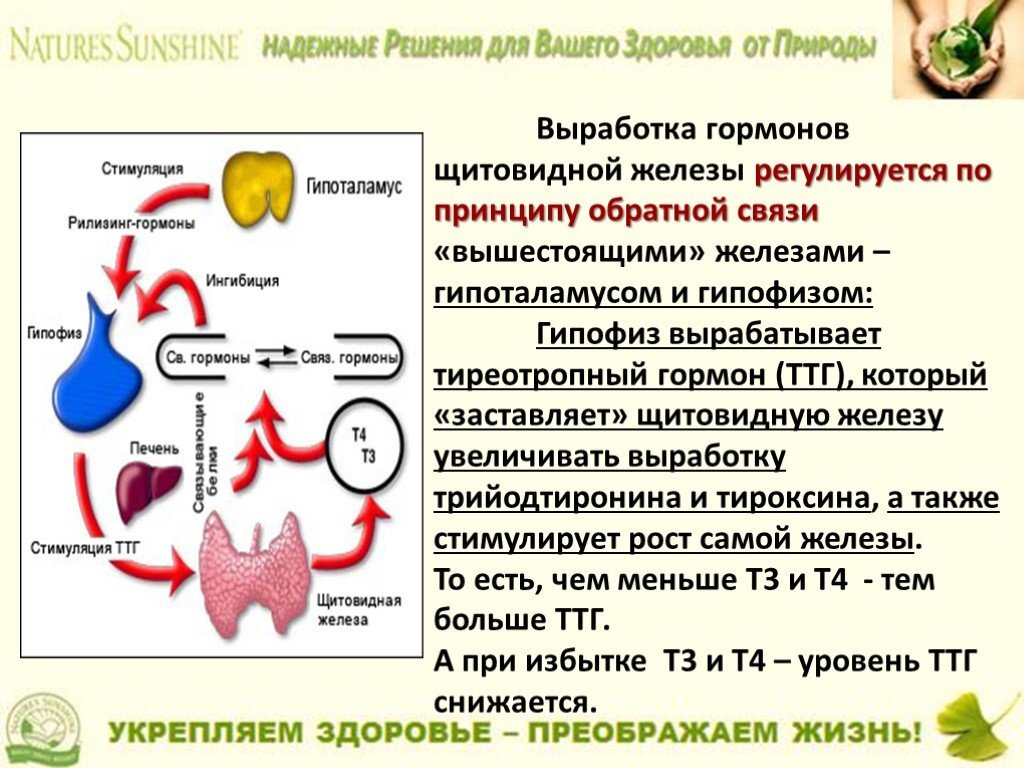 Принцип обратной связи