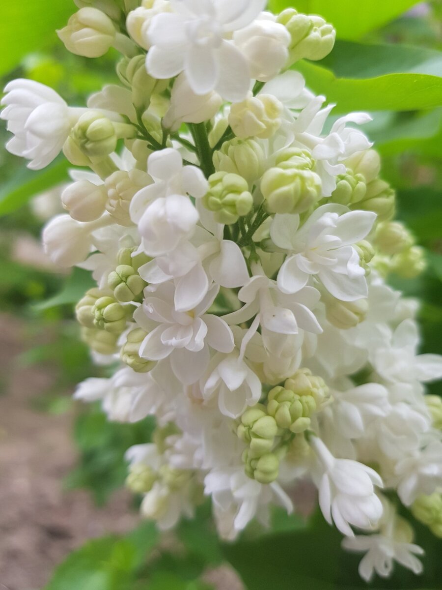 фото 2023 года из личных архивов автора